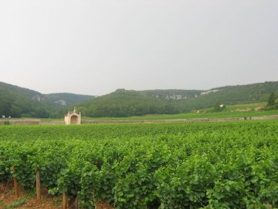 Rent your ideal holiday house or gite in Cote d'Or, Burgundy