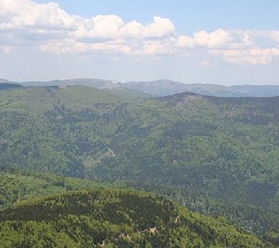 The Vosges Mountains