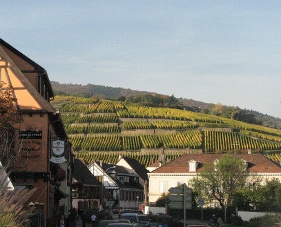 One of Alsace's Grand Cru Vineyards